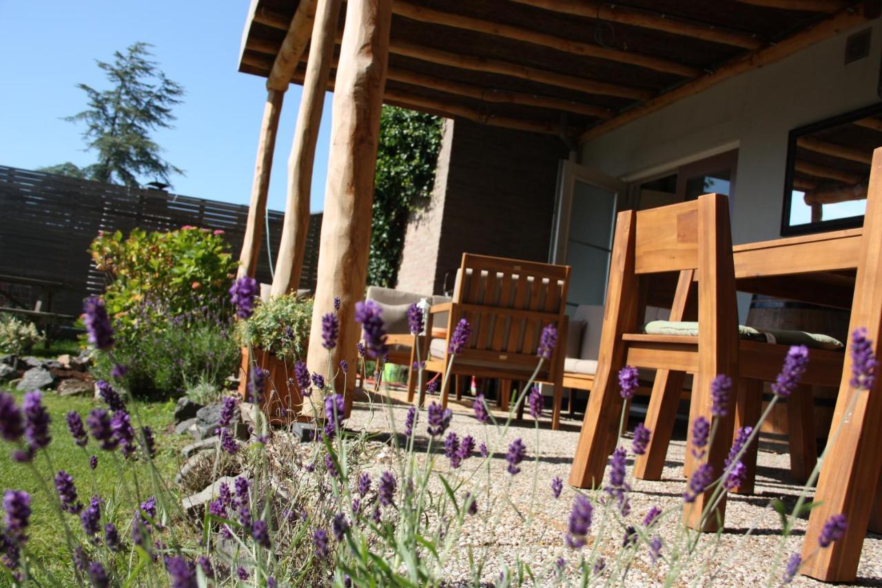 Maison Bellefleur B&B - Pension Renesse Exterior foto